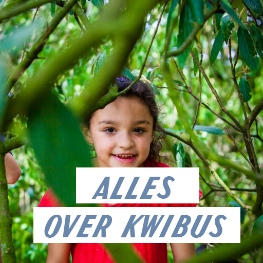 Info Kwibus Brugge
